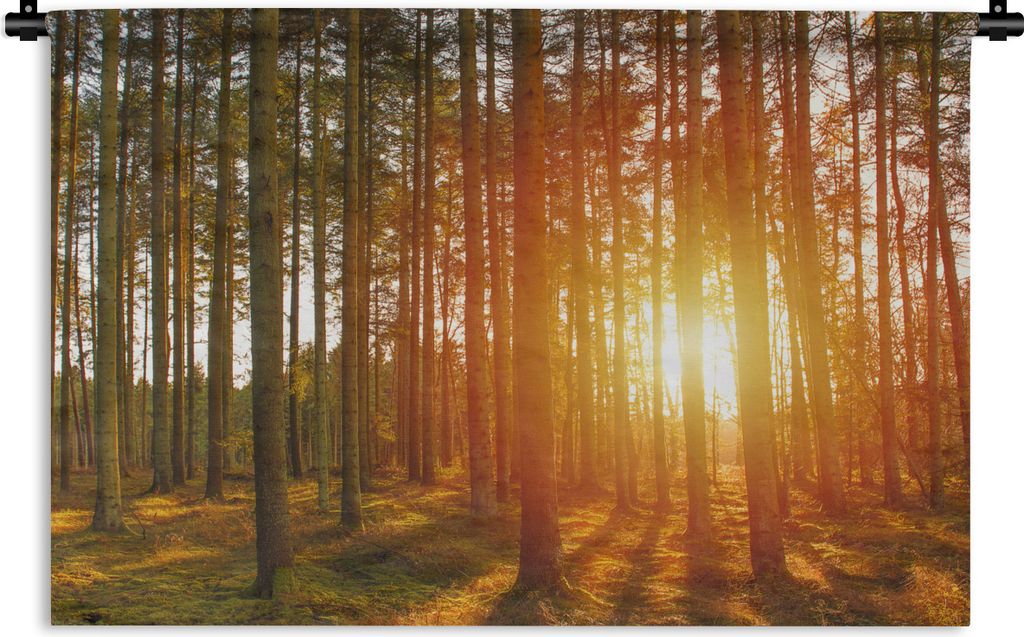 MuchoWow Wandteppich Wandbehang Herbst - Wald - Sonne 90x60 cm Tapisserie Dekoration Wandtuch - Wandskulpturen - Bildteppich