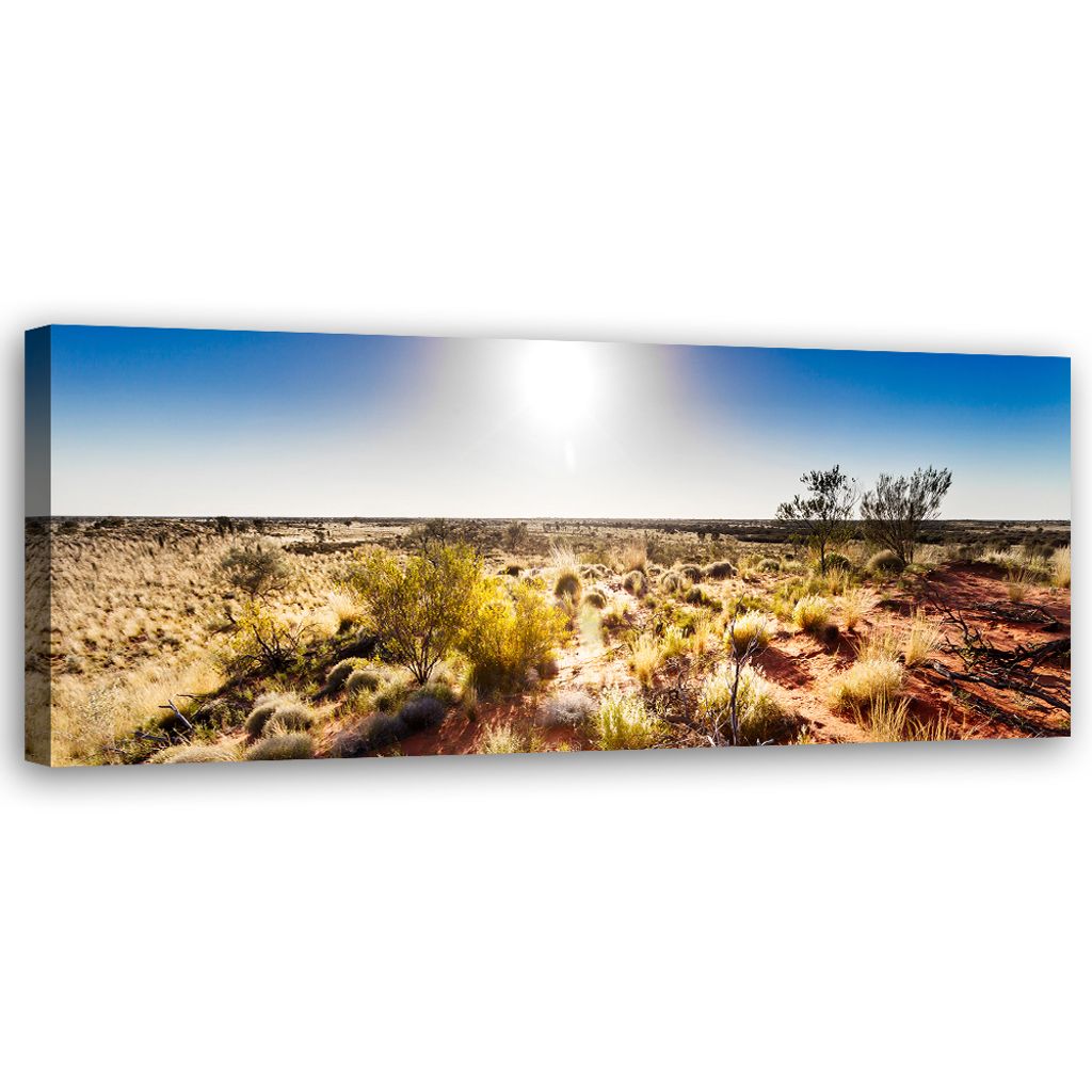 Leinwandbild Wüstenvegetation 150x50 Feeby Braun bild für die wand bereit zum aufhängen