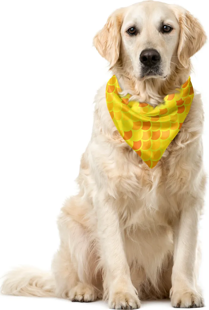 Bandana Cane ABAKUHAUS Squame Mermaid Giallo Senape 55x55cm - Stile Unico