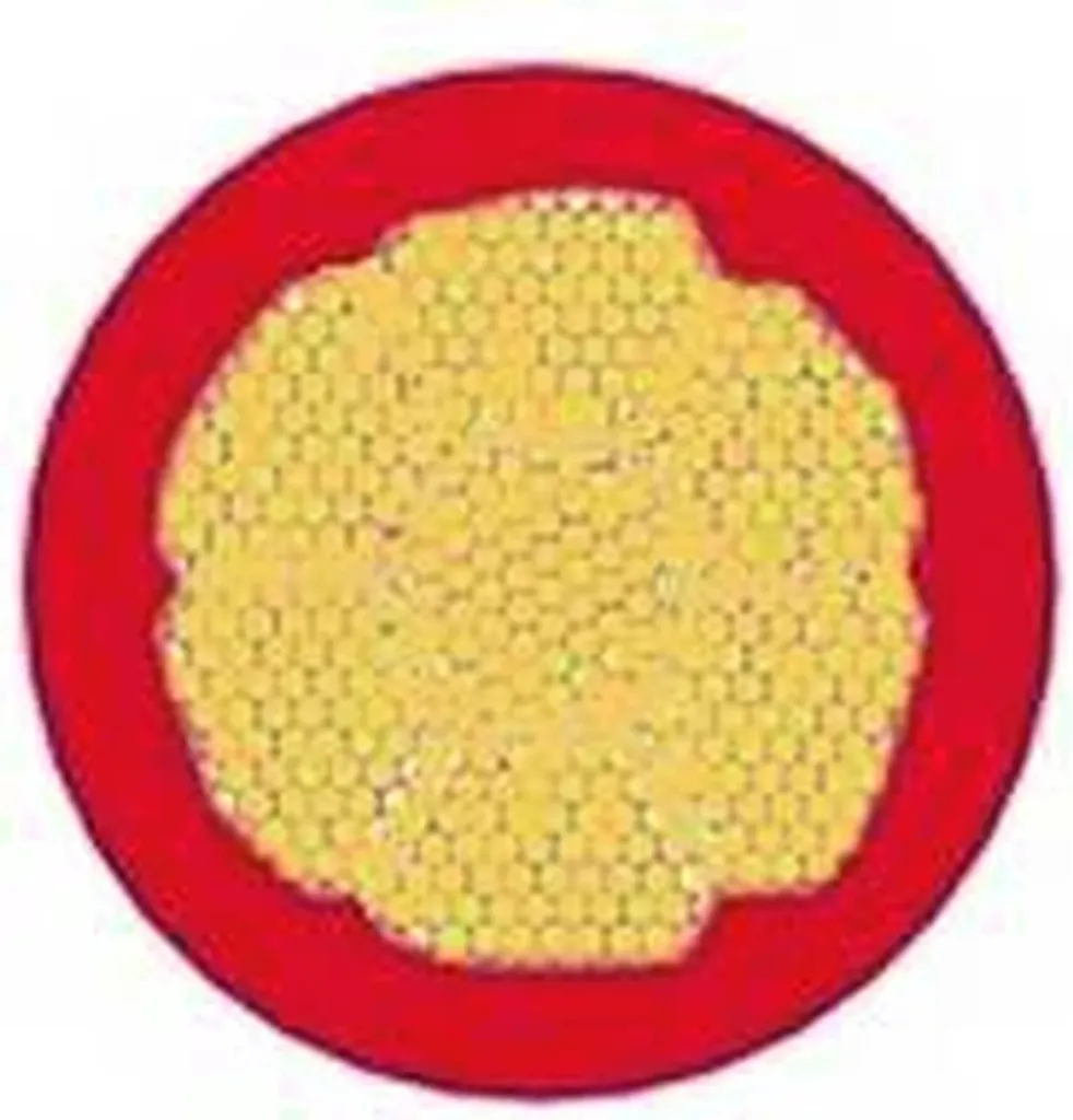 Cavo Terra 10mm² Meinhart Yf | Rotolo 50m Giallo Verde Professionale