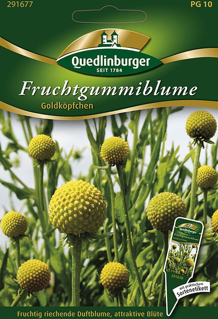 Quedlinburger Saatgut - Fruchtgummiblume - Samen - 291677