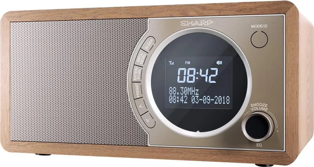 Radio Numérique DAB+ Sharp DR-450(BR) avec Enceinte Bluetooth en Bois - 12