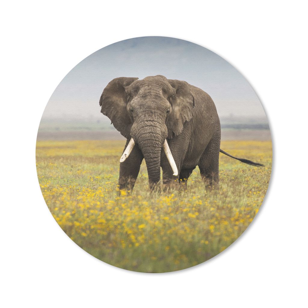 MuchoWow Mauspad Mousepad Elefant - Blumen - Gras - Tiere - Natur 30x30 cm - Mousepads - Maus Mat - Pad - Mausunterlage - Tischunterlage - Schrei...