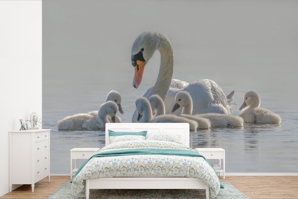 MuchoWow Fototapete für Wohnzimmer oder Schlafzimmer Wandtapete Vinyl Motivtapete Schwan - Wasser - Küken - 525x350 cm - Das Hintergrundbild