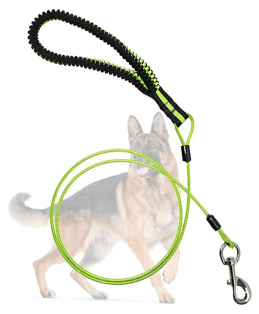 Hundeleine 1,5m für Hunde, Kausichere Hundeleinen, Kettenleine für mittelgroße bis große Hunde (Grün, 1,5m)