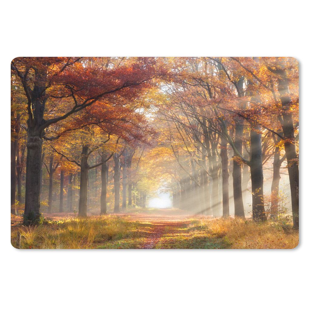 MuchoWow Mauspad Mousepad Herbst - Wald - Baum 27x18 cm - Mousepads - Maus Mat - Pad - Mausunterlage - Büroartikel - Desk Matten