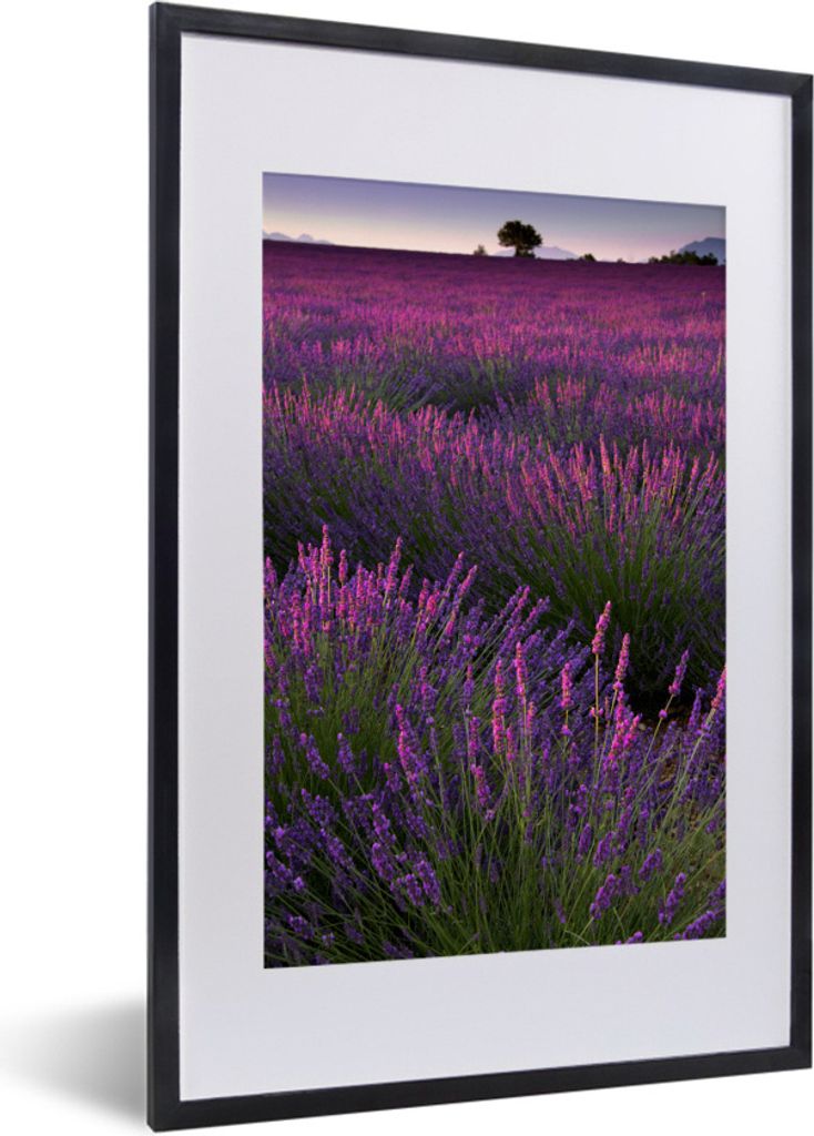 MuchoWow Gerahmtes Poster Die Lavendelregion im französischen Mutterland 40x60 cm - Poster mit Schwarzem Bilderrahmen Wandposter Rahmen Foto Bil...