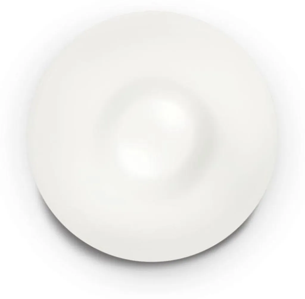 Plafonnier White GLORY 2 Ampoules - Luminaire Puissant Finition Blanc Mat