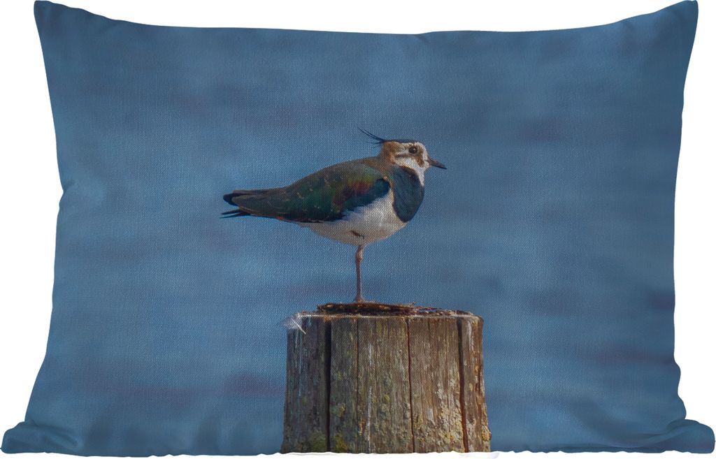 MuchoWow Outdoor Kissen - Vogel - Tiere - Pfahl - Blau - Kiebitz - 60x40 cm - Wetterfest - Lounge Kissen - Zierkissen - Kissen für Innenräume