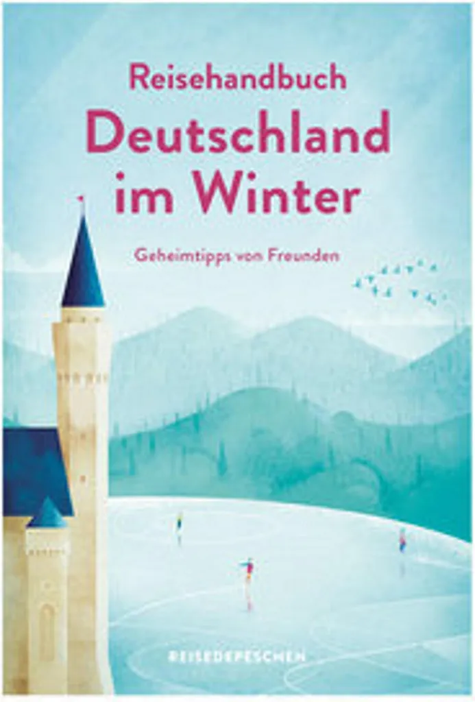 Livre de voyage Allemagne en hiver : Manuel complet pour les vacances