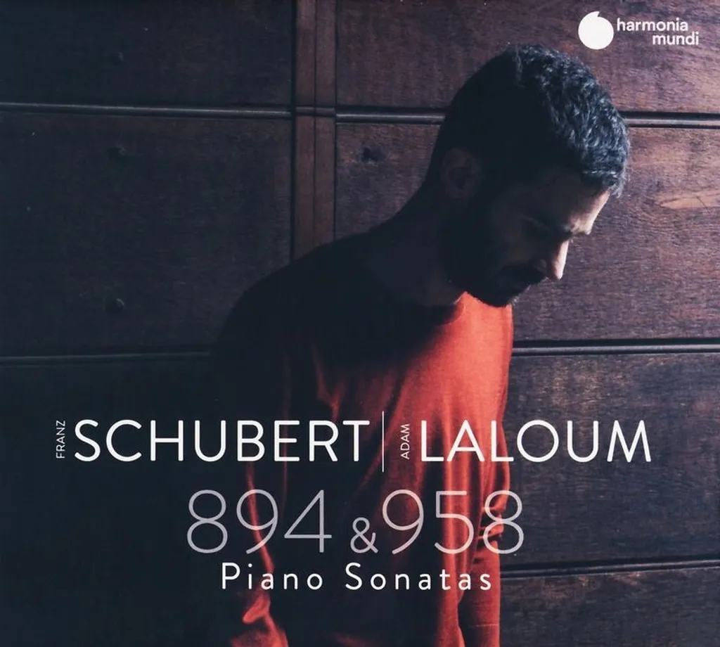 Sonates Piano D 894 & 958 Schubert : Haute Fidélité Sonore, Album 2020