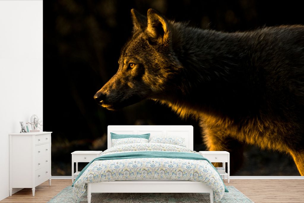 MuchoWow Fototapete für Wohnzimmer oder Schlafzimmer Wandtapete Vinyl Motivtapete Wolf - Raubtier - Sonne - 330x220 cm - Fototapeten