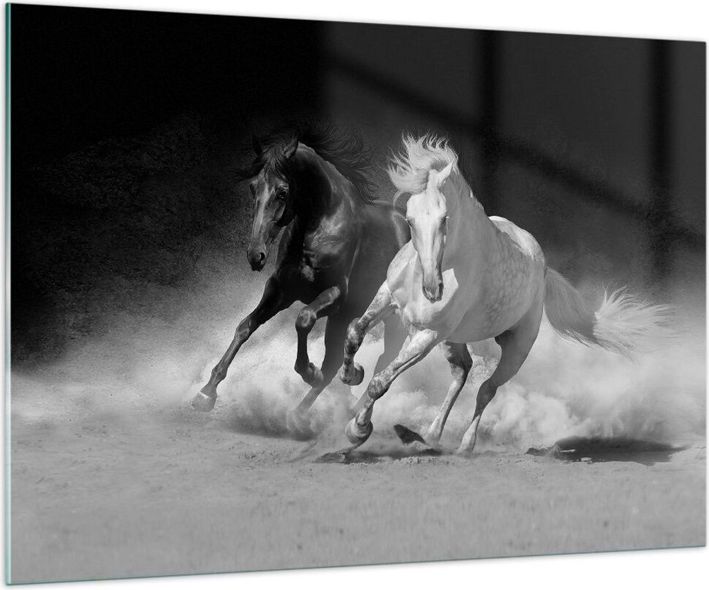 Bilder auf glas - Einteilig - Andalusier Pferde Galopp - 100x70cm - Glasbilder - Wandbilder - Bilder - zum Aufhängen bereit - Wanddekoration aus G...