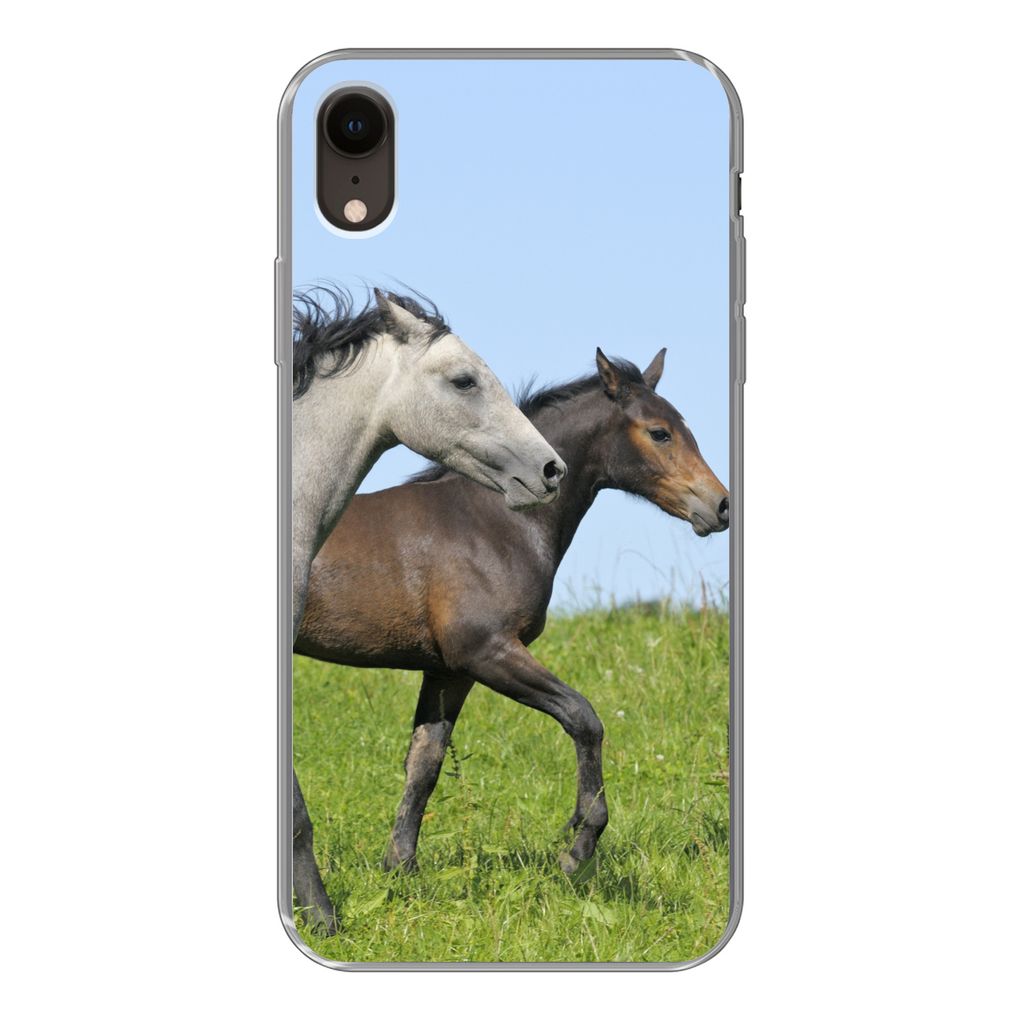 MuchoWow Handyhülle Schutzhülle Hülle für iPhone XR Pferde - Tiere - Gras Silikon Softcase Handy Hülle - Schutzdeckel