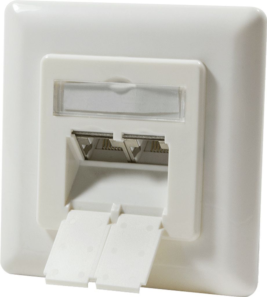 LogiLink Anschlussdose Kat.6A 2 x RJ45 reinweiß (RAL9010)