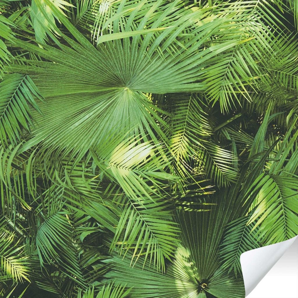 A.S. Création 380541 TheWallCover
