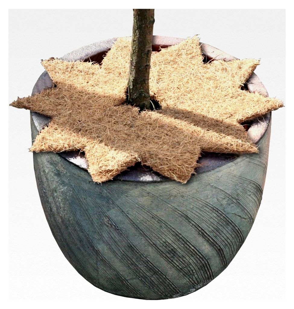 Kokosmatte mit Stern und Loch, Natur, 35 cm