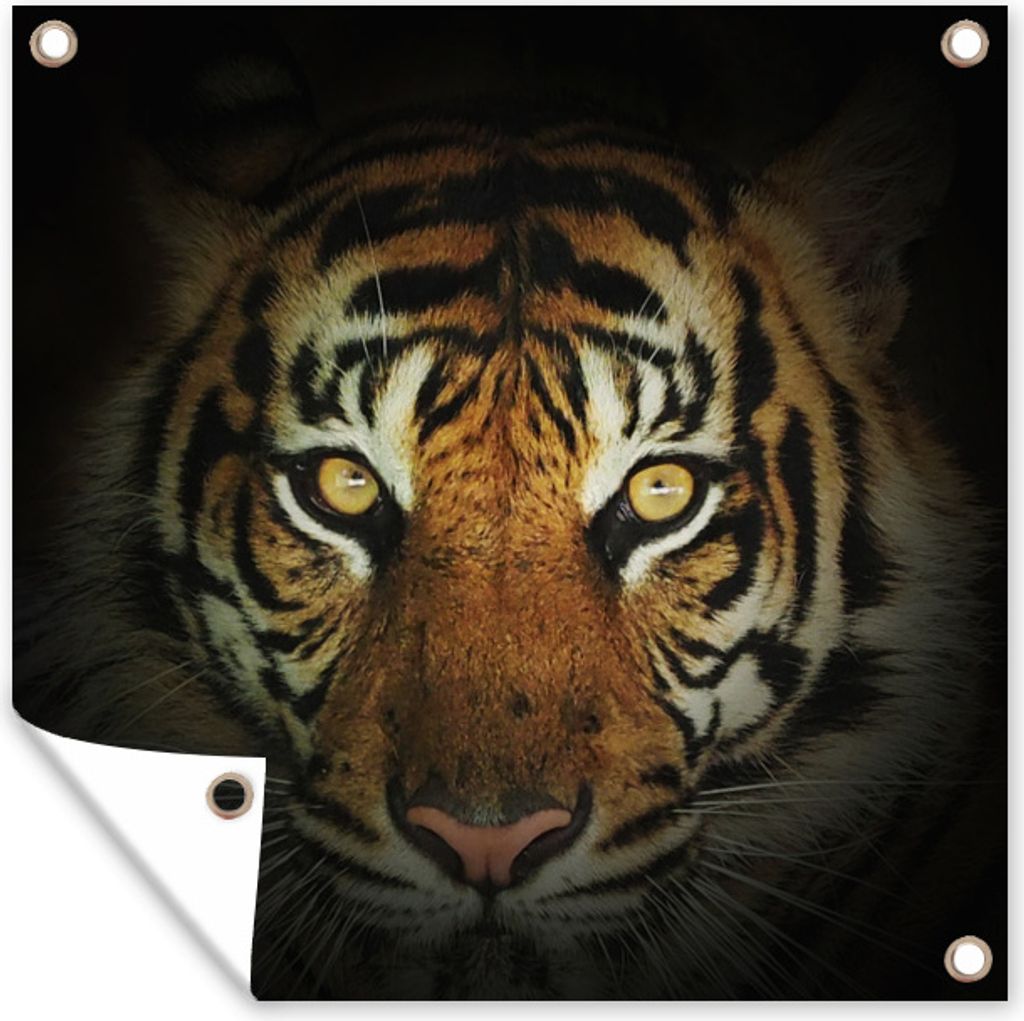 MuchoWow 100x100 cm Outdoor-Poster Gartendeko Sichtschutz Garten Poster für den Garten Tiger - Licht - Augen