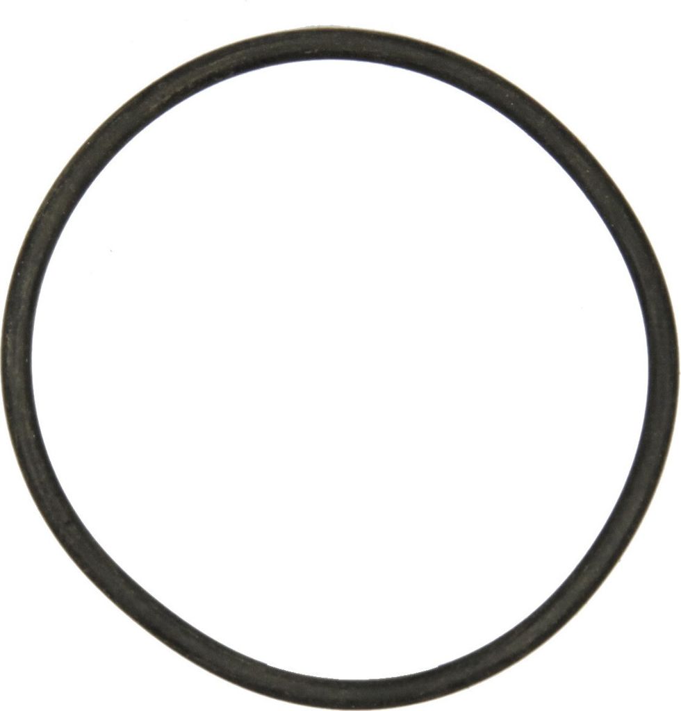 O-Ring Getriebeführung 4063110