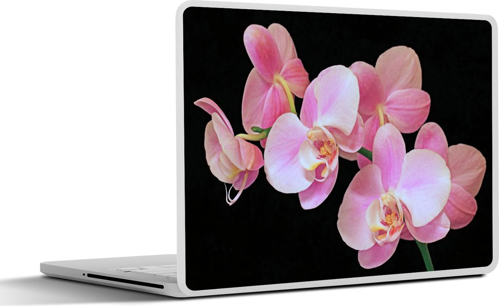 MuchoWow Laptop Aufkleber Sticker Cover Eine Nahaufnahme von rosa Orchideen auf einem schwarzen Hintergrund 30x22 cm - Laptop-Sticker