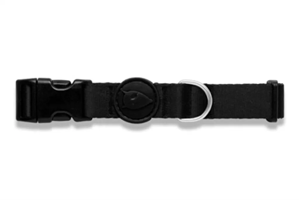 Morso Pureness Collare Nero: Il Must-Have di Design per il tuo Cane - 2