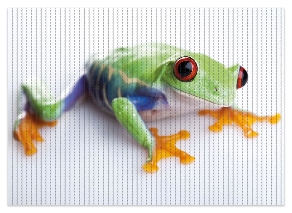 Wallario Duschmatte Antirutschmatte Badmatte Fußmatte Lustiger Frosch in grün und orange, Größe ca. 70 x 50 cm