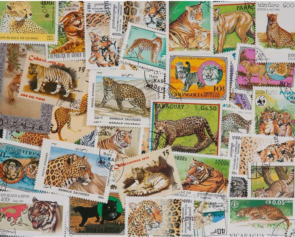50 Briefmarken mit Raubkatzen-Motiv