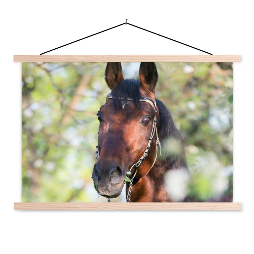 MuchoWow Textilposter Pferde - Blüte - Frühling - Tiere 60x40 cm mit holzfarbenen Rahmen - Bilder