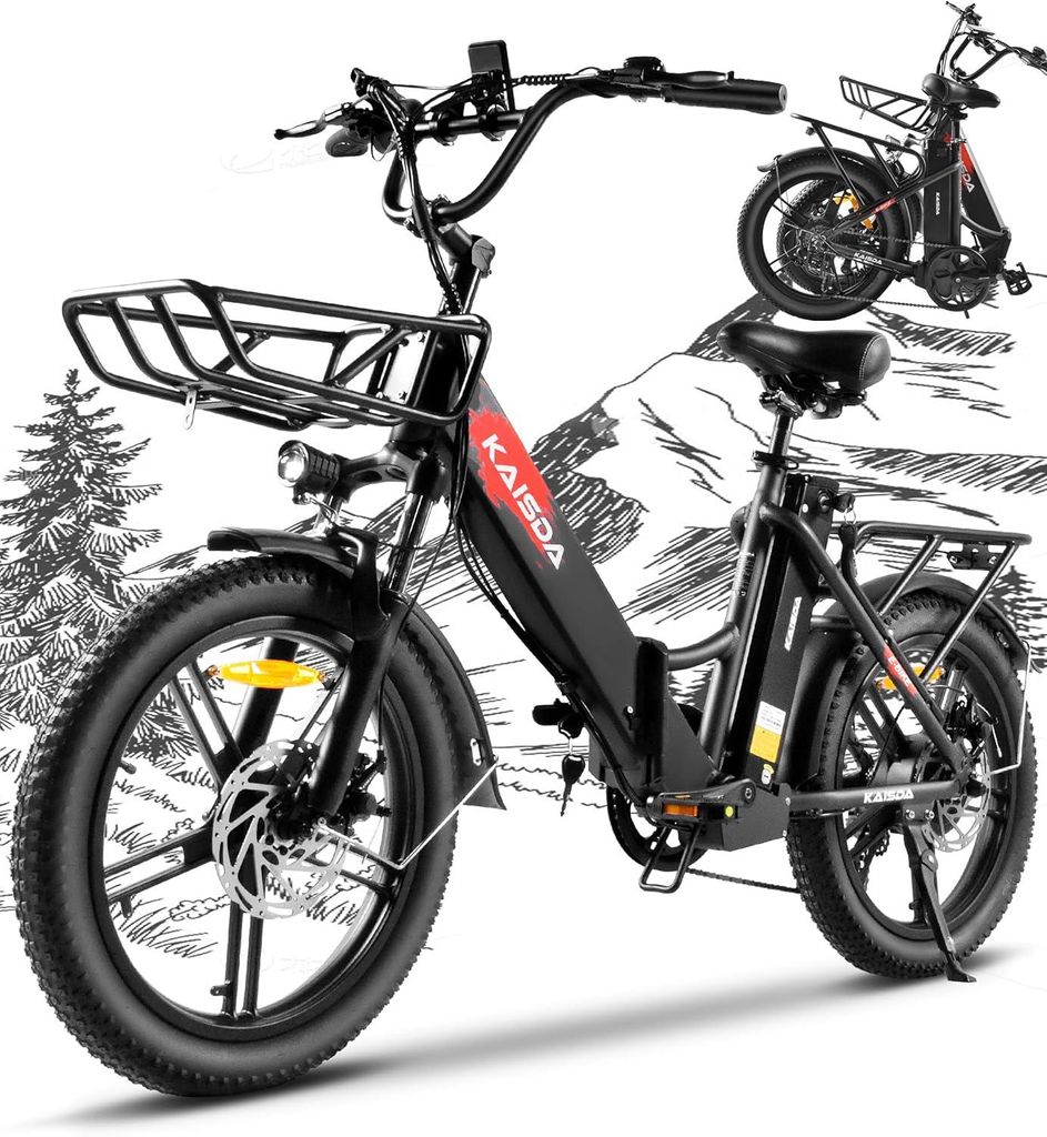 20.8AH 20Zoll E-Bike Faltbar E Bike Klapprder