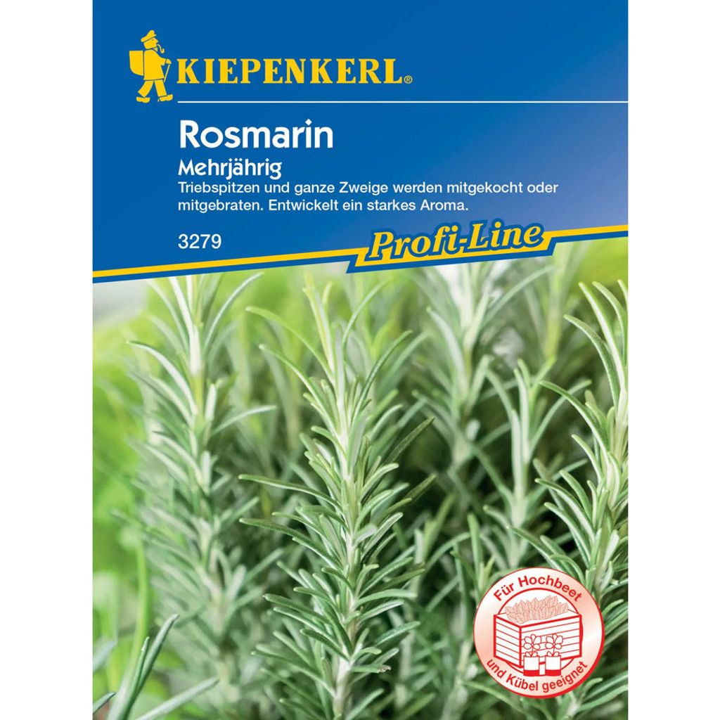 Kiepenkerl Profi-Line Rosmarinsamen, mehrjährig