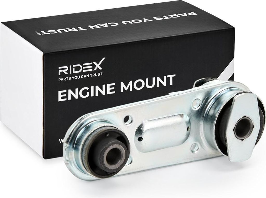 RIDEX Motorlager Gummimetalllager Hinten für RENAULT CLIO II (BB0/1/2, CB0/1/2) 247E0149