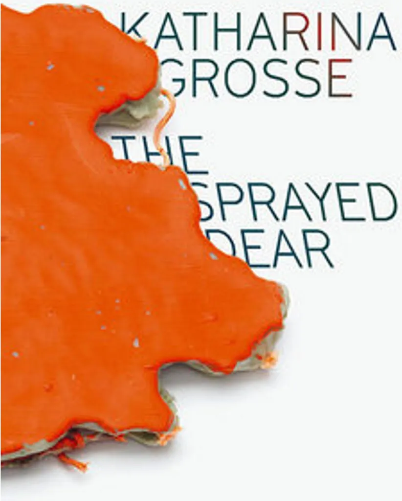 Livre d'art Katharina Grosse : Monographie reliée sur l'œuvre de l'artiste
