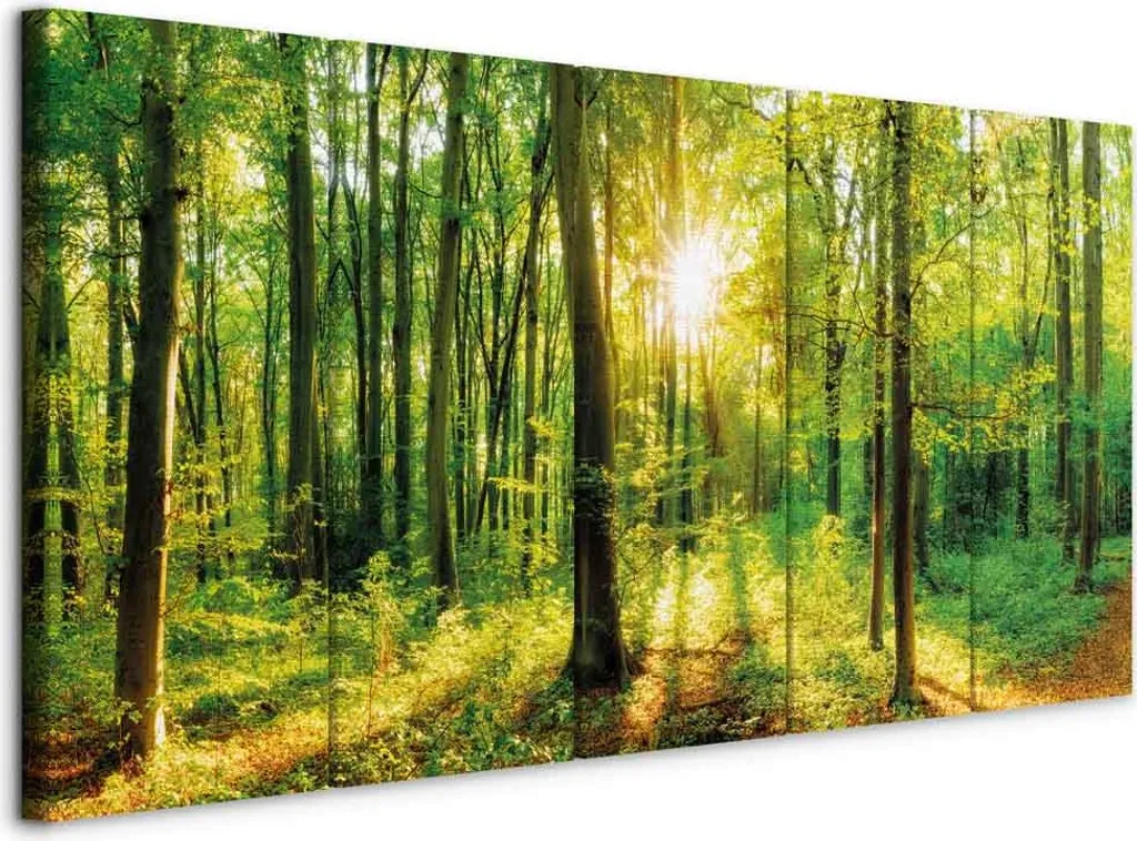 Quadro su Tela Foresta Magica 225x90 XXL - Arte Murale Paesaggi c-B-0184