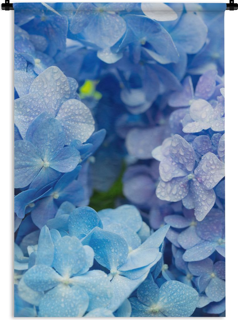 MuchoWow Wandteppich Wandbehang Hortensie - Wassertropfen - Floral - Botanisch - Blau 60x90 cm Tapisserie Dekoration Wandtuch - Foto-Teppich - Ab...