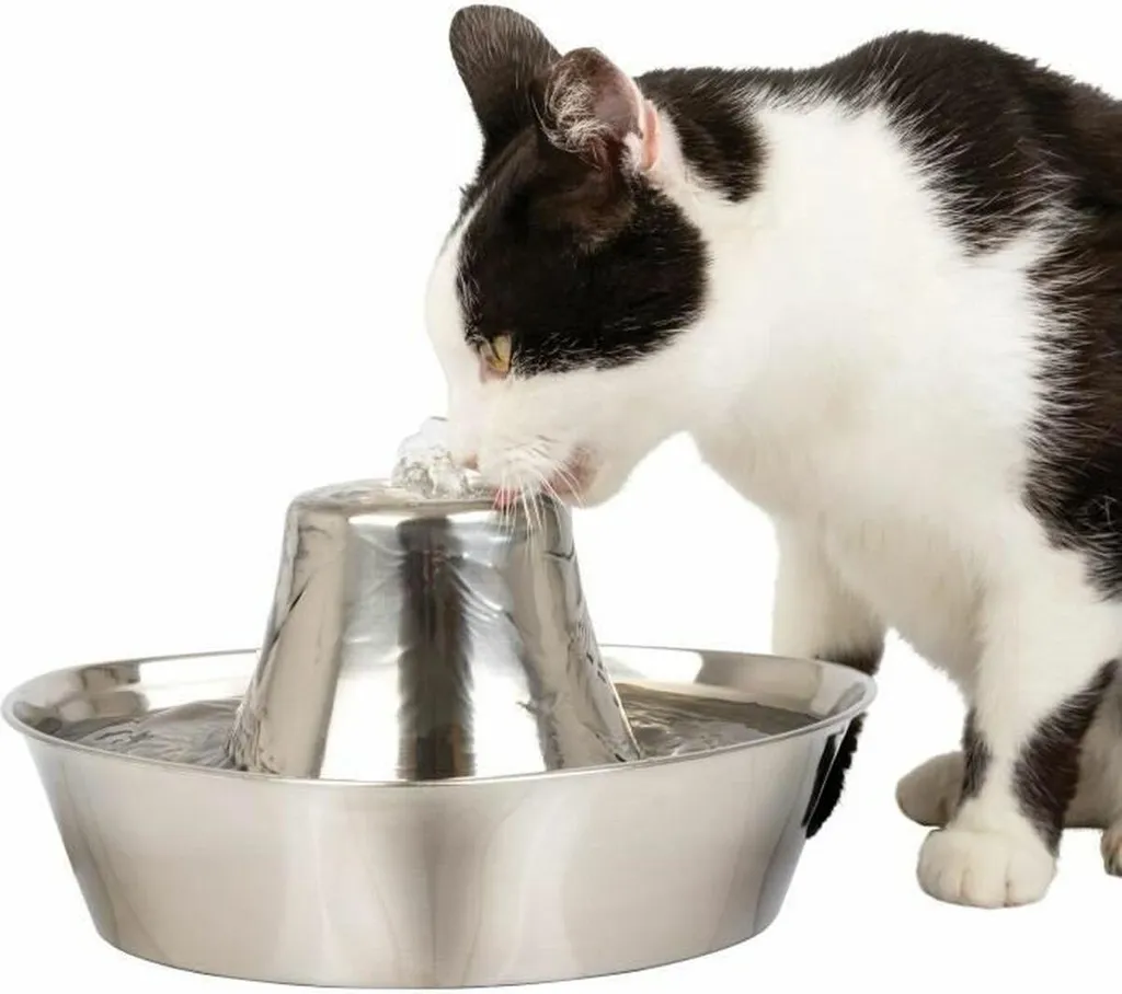 Fontaine Inox PetSafe Seaside 1,8 L : stoppez l'eau stagnante et impure