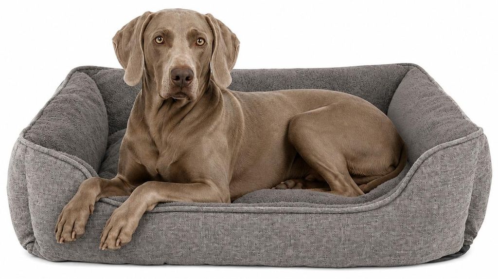 Lionto hondenbank, modern hondenbed met antislipbodem, Productafbeelding 