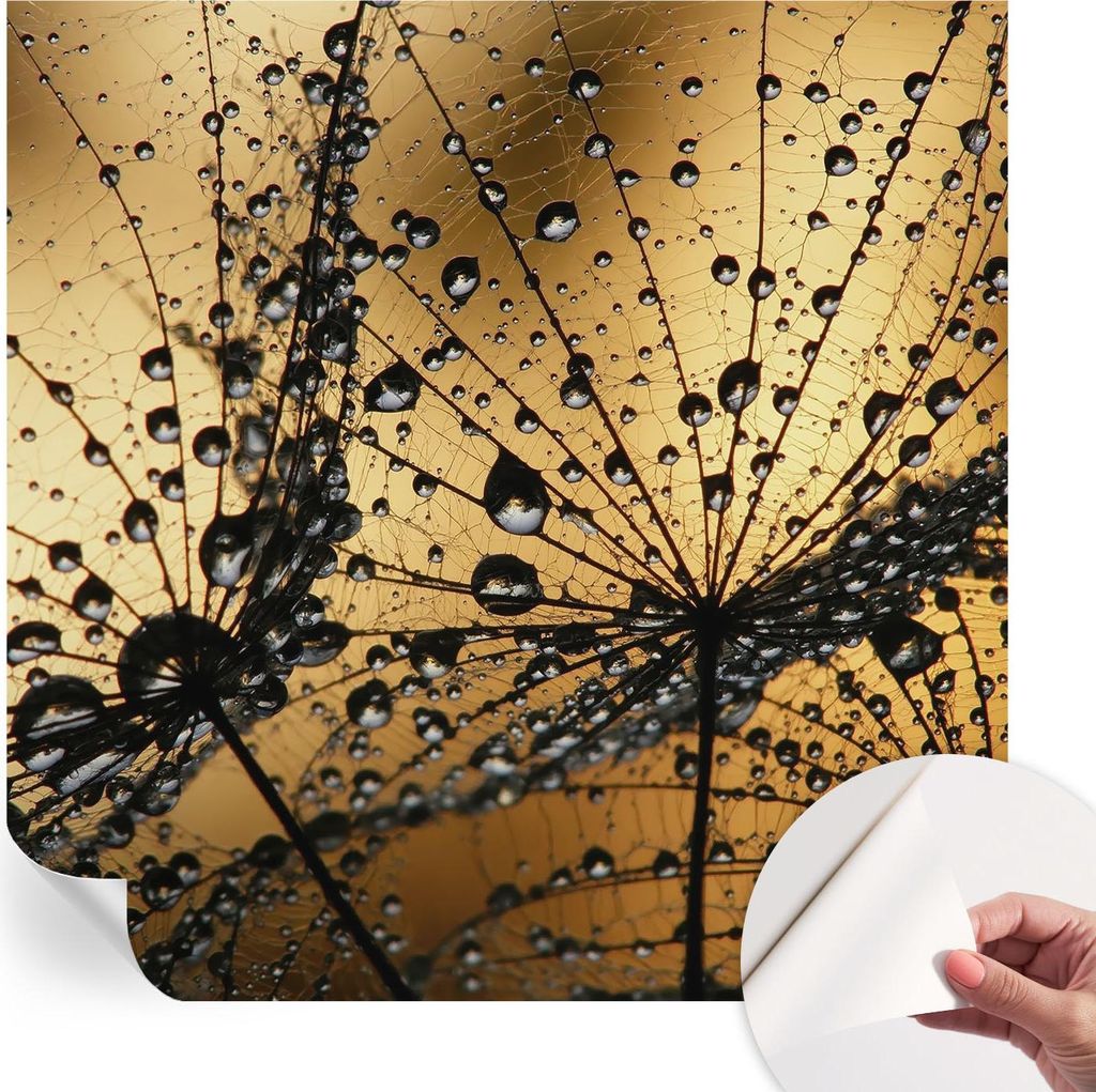 Selbstklebende Wandtapete - Dekorative Tapete für Wohnzimmer - Klebefolie für Wandbilder - Tapetenfolie für Wanddekoration - 250x250 cm - Zarte ...