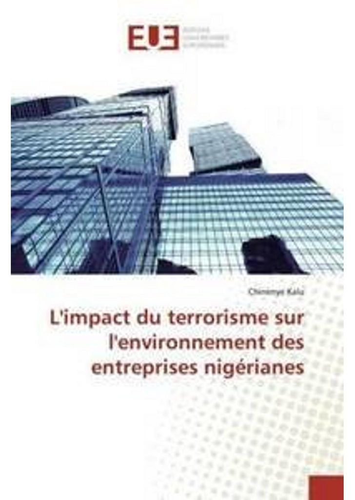 L'impact du terrorisme sur l'environnement des entreprises nigérianes