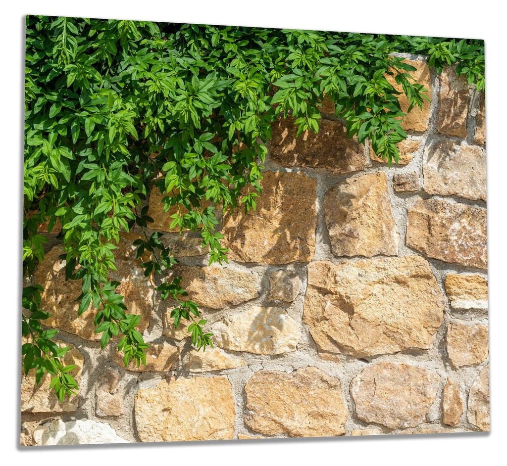 Wallario Herdabdeckplatte aus Glas, Größe 60 x 52 cm 1-teilig, Motiv Natursteinwand mit Ranken