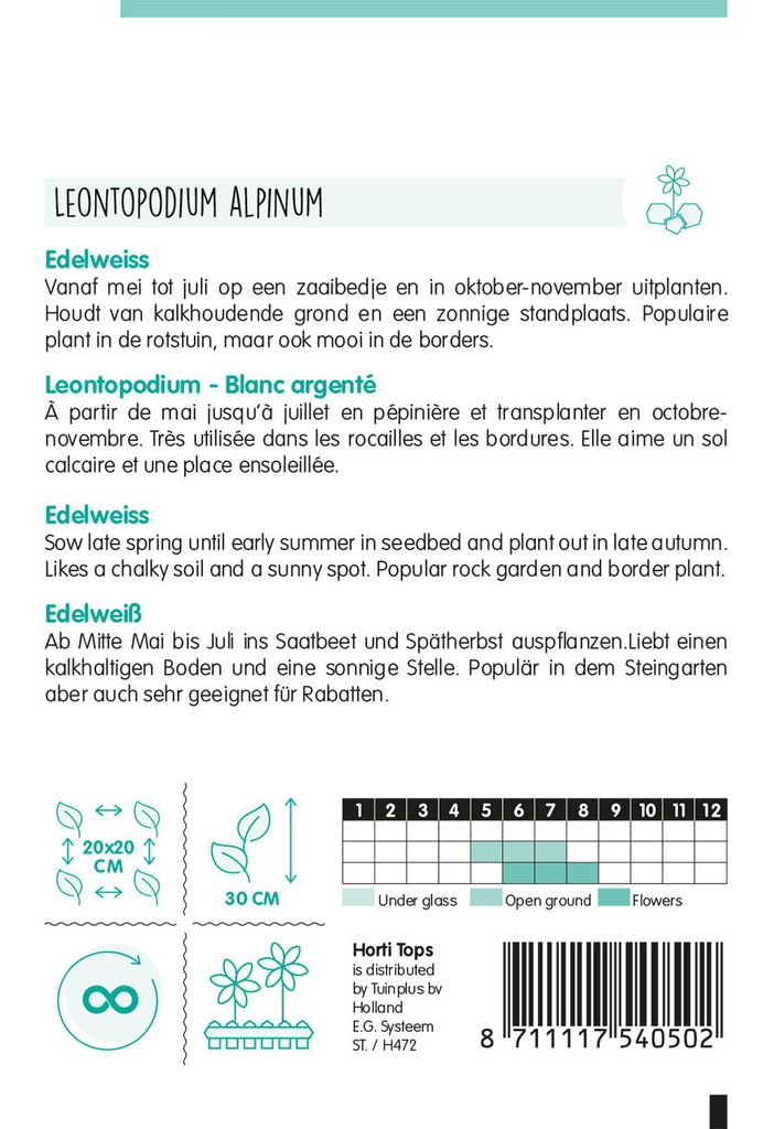 Edelweiß | Blumensamen von Hortitops