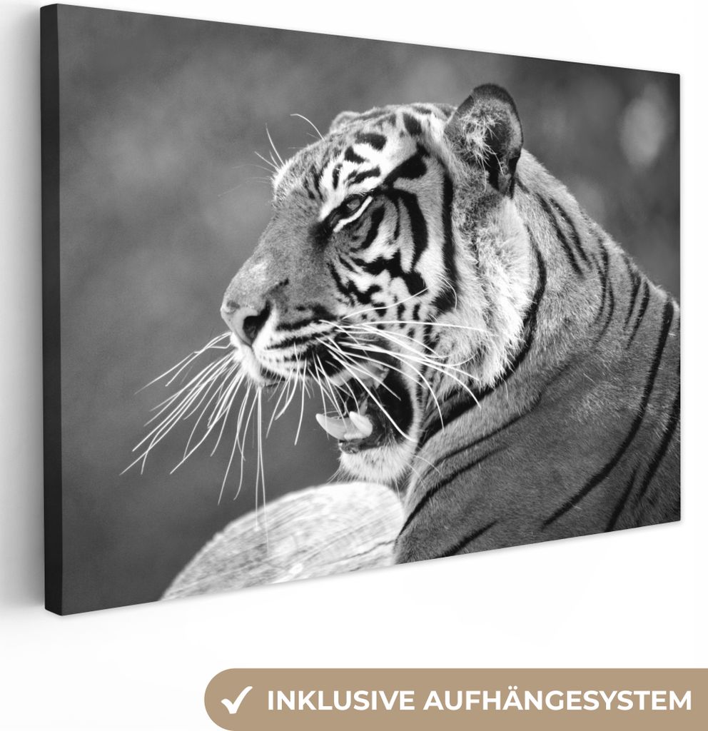 OneMillionCanvasses - Leinwandbilder - 150x100 cm, Tiger - Wild - Schwarz - Weiß, Wandbilder Kunstdruck Wanddekoration