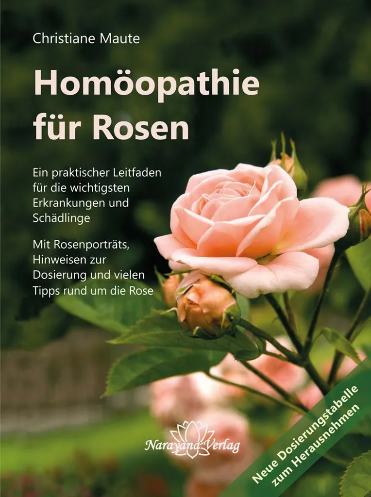 Traitement homéopathie pour les roses : protection sans pesticides