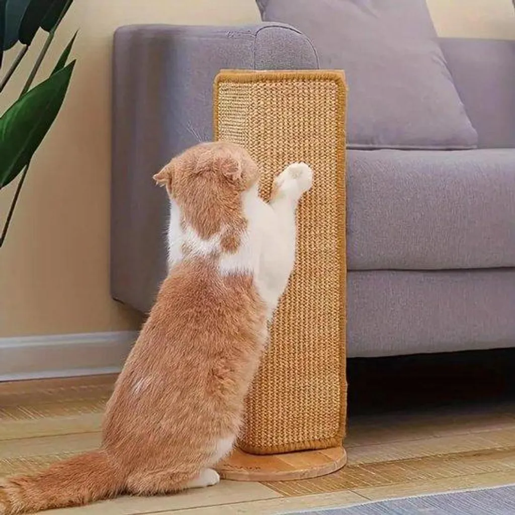 Stop canapé griffé : Protège-griffes en carton durable pour tout chat