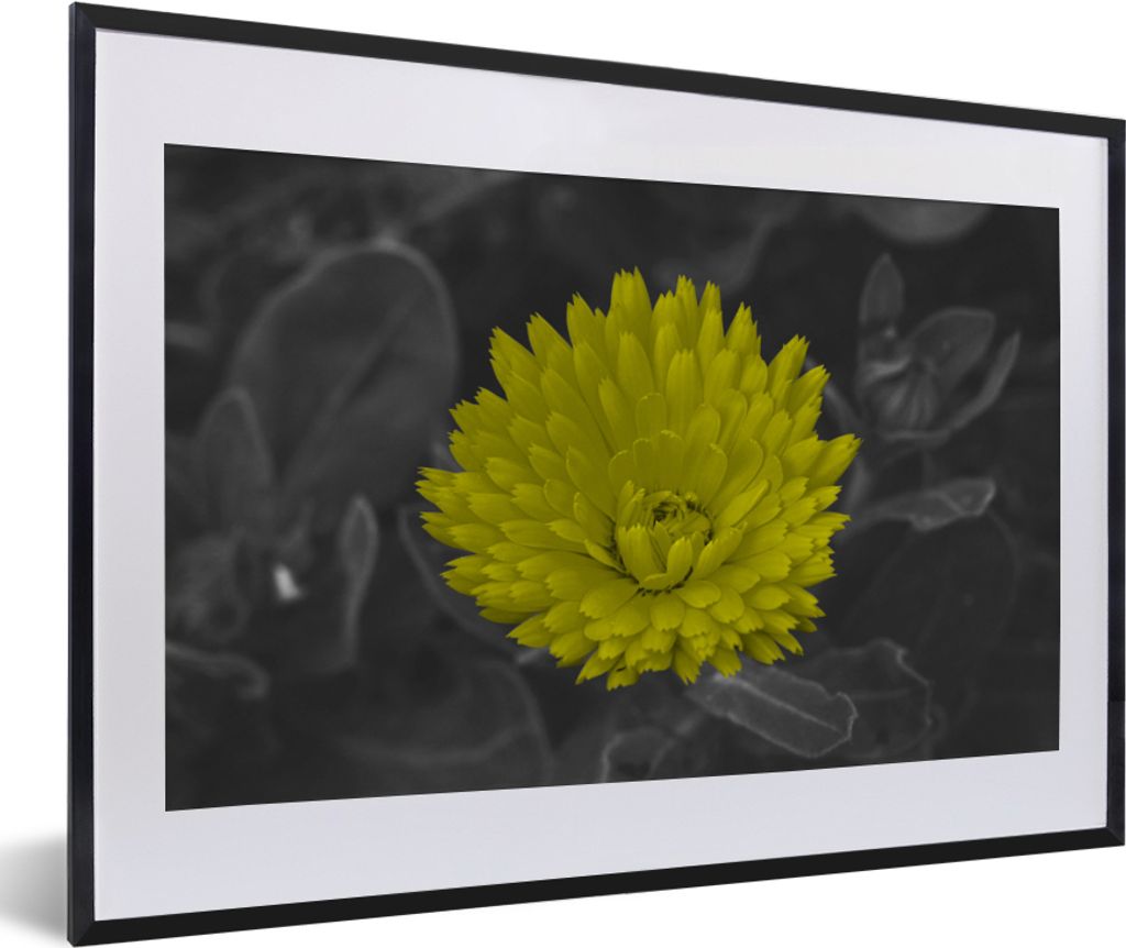 MuchoWow MuchoWow Gerahmtes Poster Blumen - Aquarell - Löwenzahn 60x40 cm - Poster mit zchwarzem Bilderrahmen - Schlafzimmer - Plakat in Rahme...