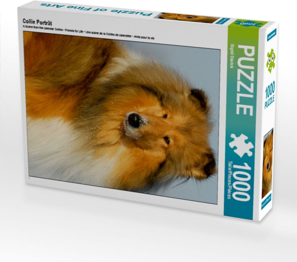 CALVENDO Puzzle Collie Porträt | 1000 Teile Lege-Größe 64x48cm Foto-Puzzle für glückliche Stunden