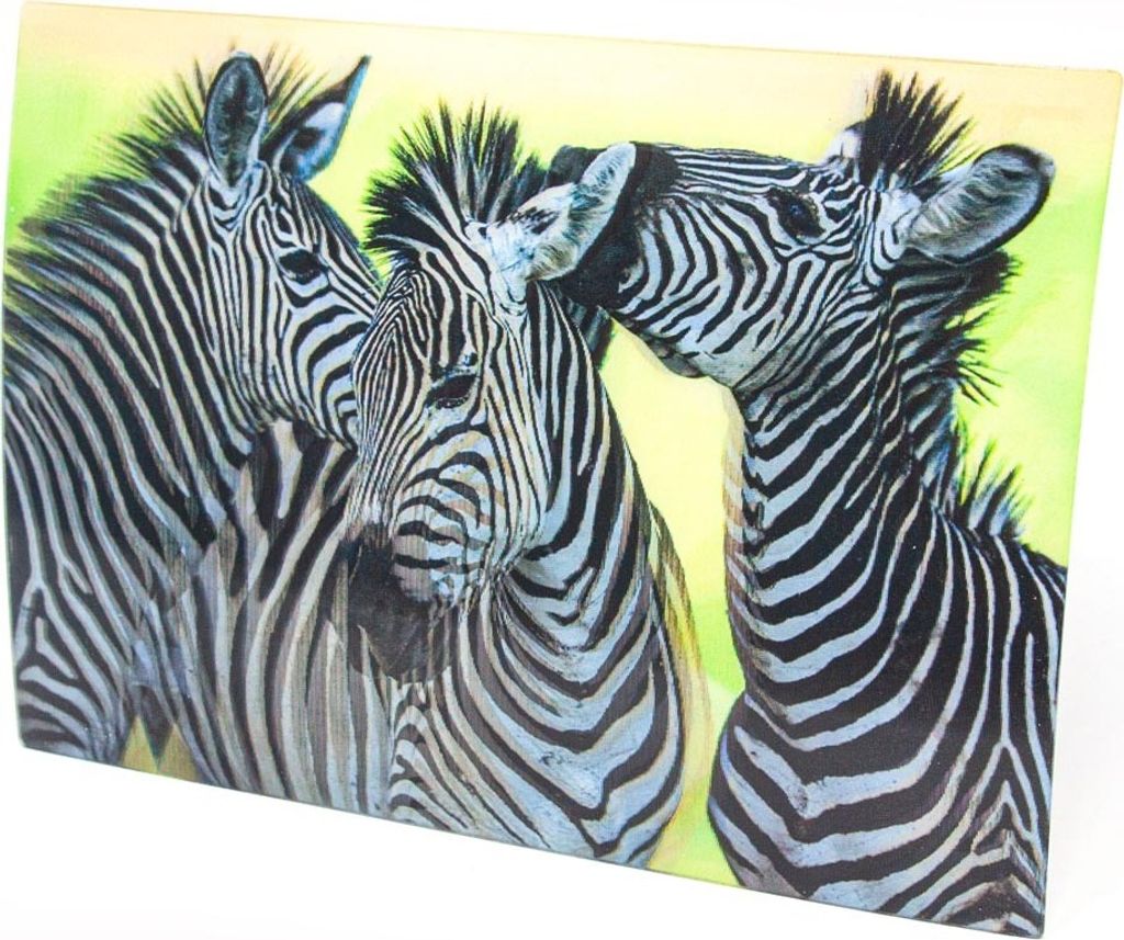 3D Postkarte Zebras