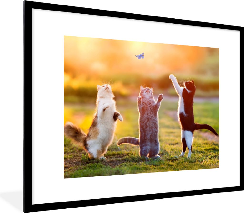 MuchoWow Gerahmtes Poster Katzen - Schmetterling - Sonnenuntergang - Gras - Natur 80x60 cm - Poster mit Schwarzem Bilderrahmen Wandposter Rahmen ...
