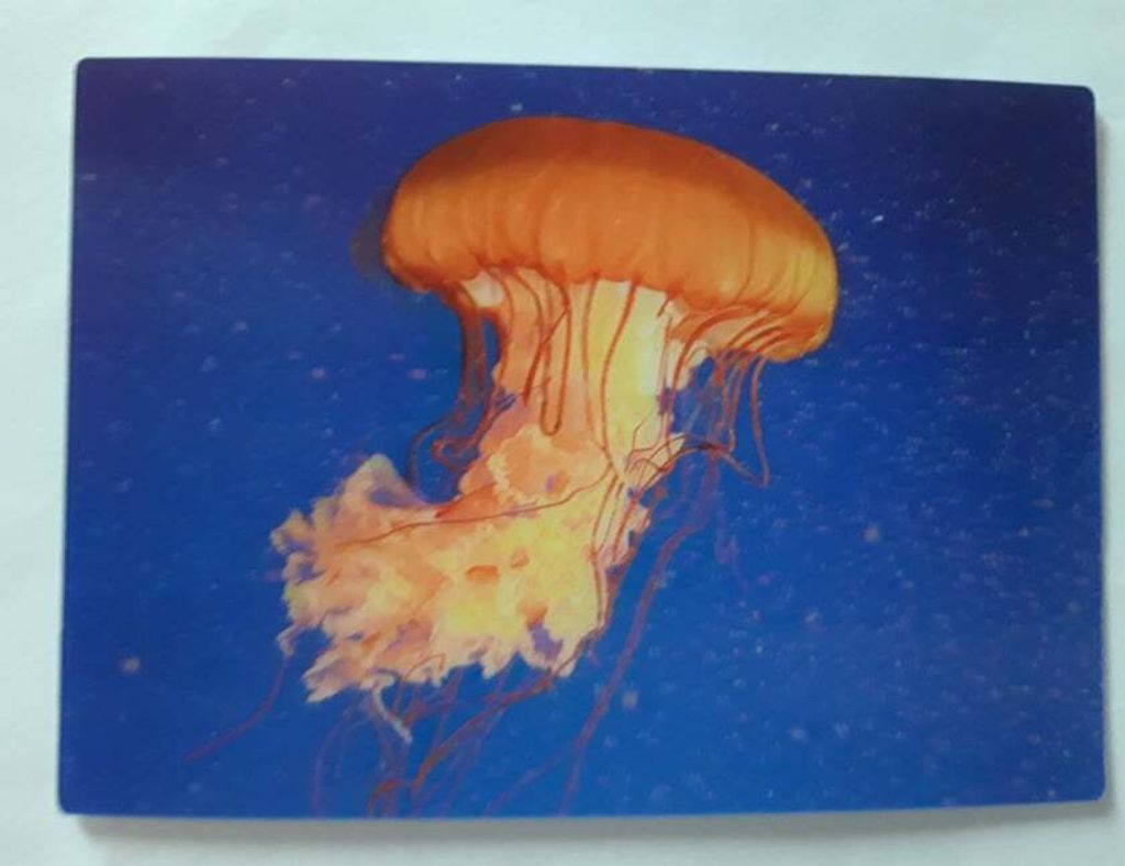 3 D Ansichtskarte Qualle, Postkarte Wackelkarte Produktbild 