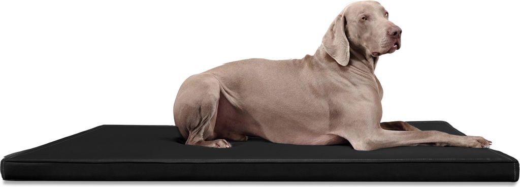 CARLOS Ortho-Medic Orthopädische Hundematte Kunstleder Visco Hundebett Matratze - Größe: 120x90cm | Farbe: 03 Schwarz