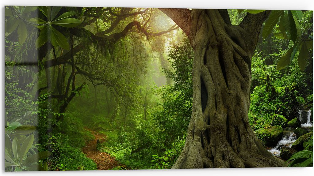 DEQORI Küchenrückwand Glas 80x40 cm 'Urwaldgeheimnis' Spritzschutz Bad Rückwand Küche